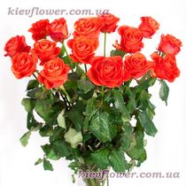 Коралові троянди